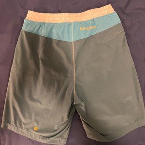 Birddogs Men's Shorts Medium Green